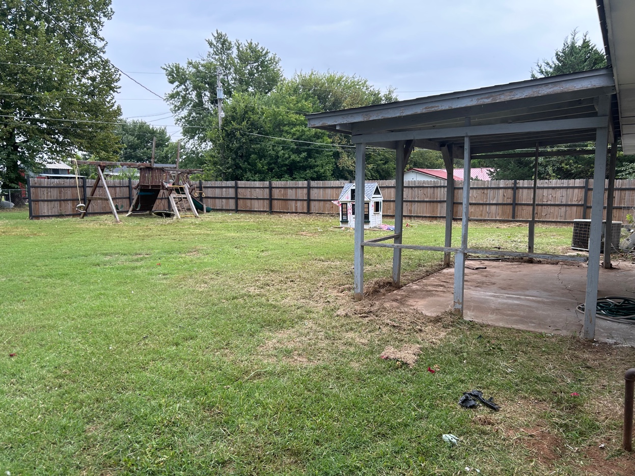 Backyard Cleanup
