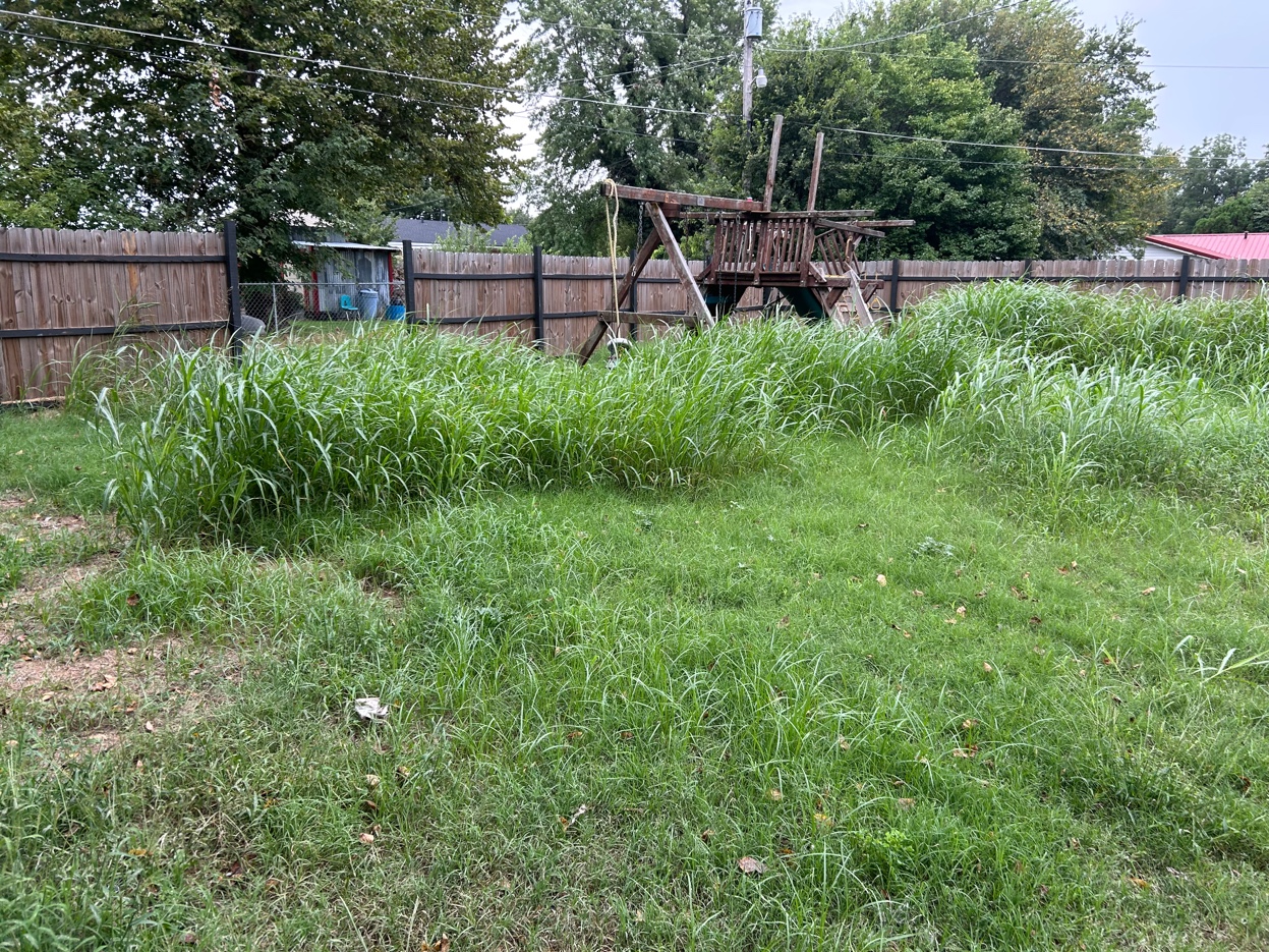 Backyard Cleanup