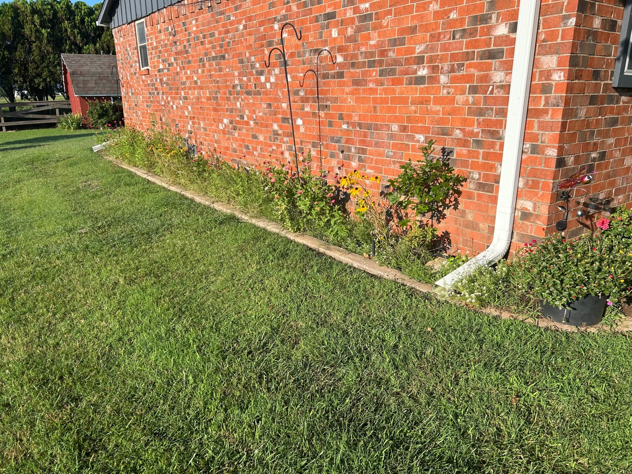 Flower Bed Cleanup
