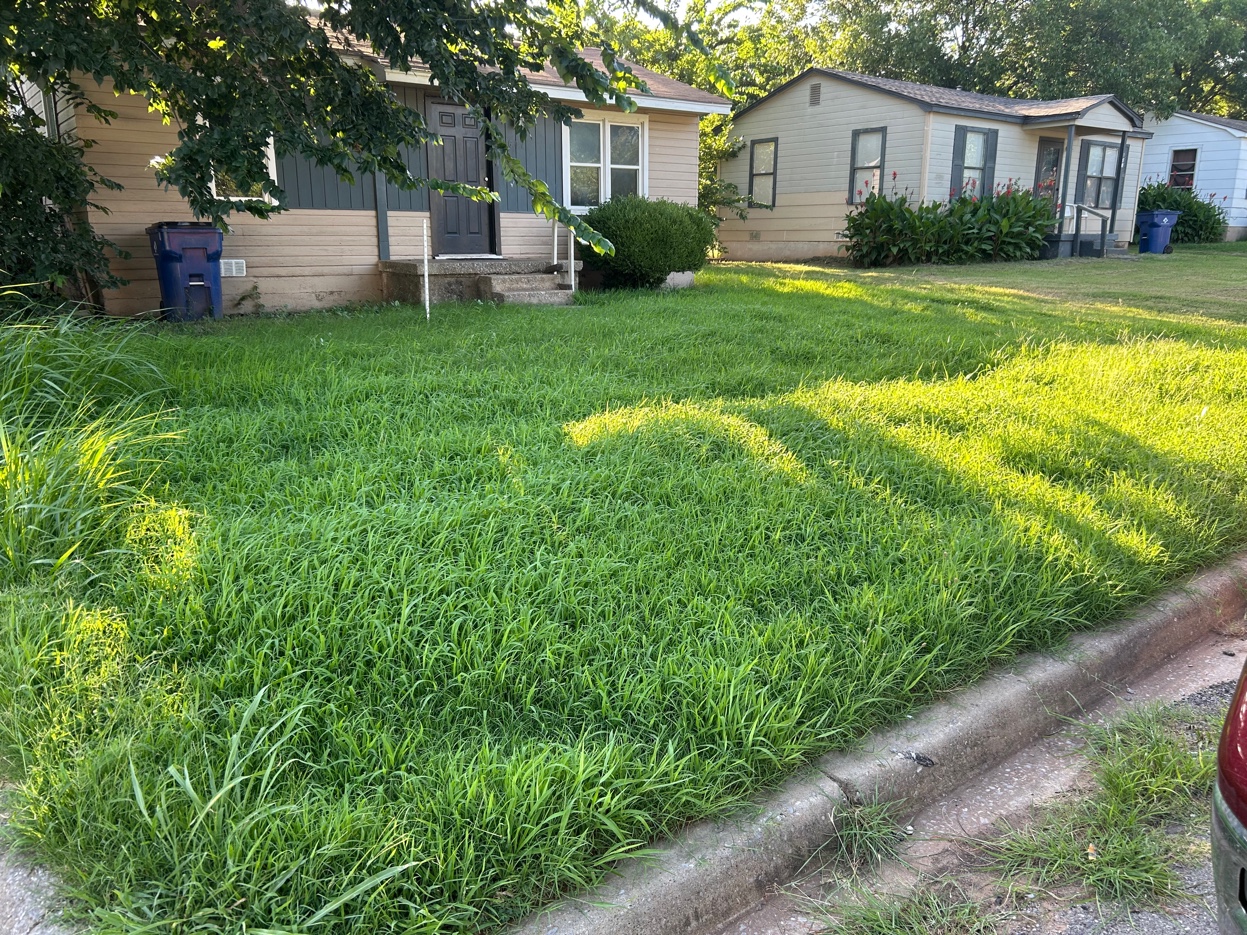 Residential Mowing