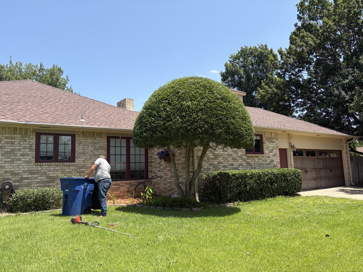 Bush Trimming After