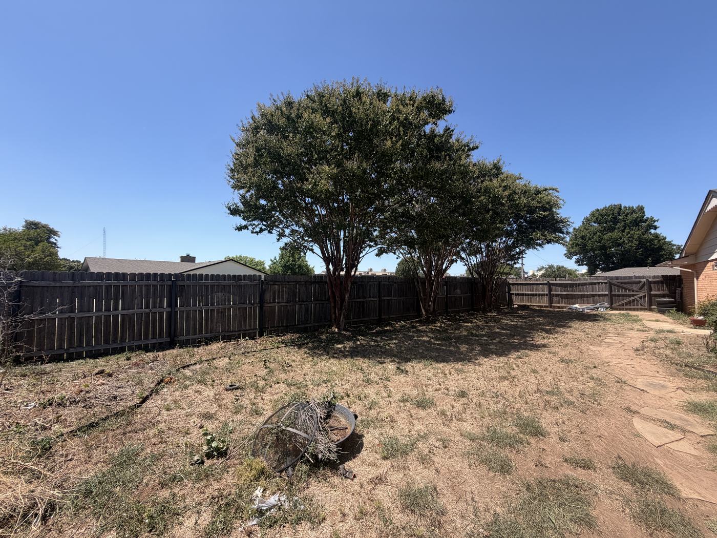 Crepe Myrtle Trimming & Bush Removal After