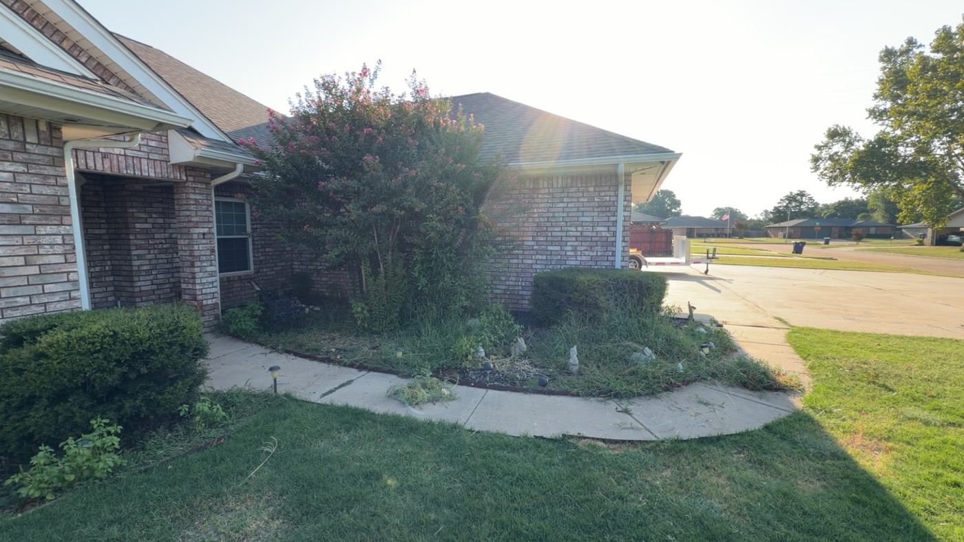 Flower Bed Cleanup & Bush Trimming Before