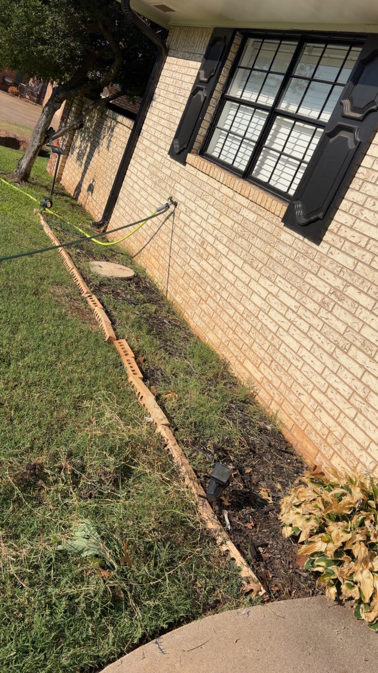 Flower Bed Cleanup Before