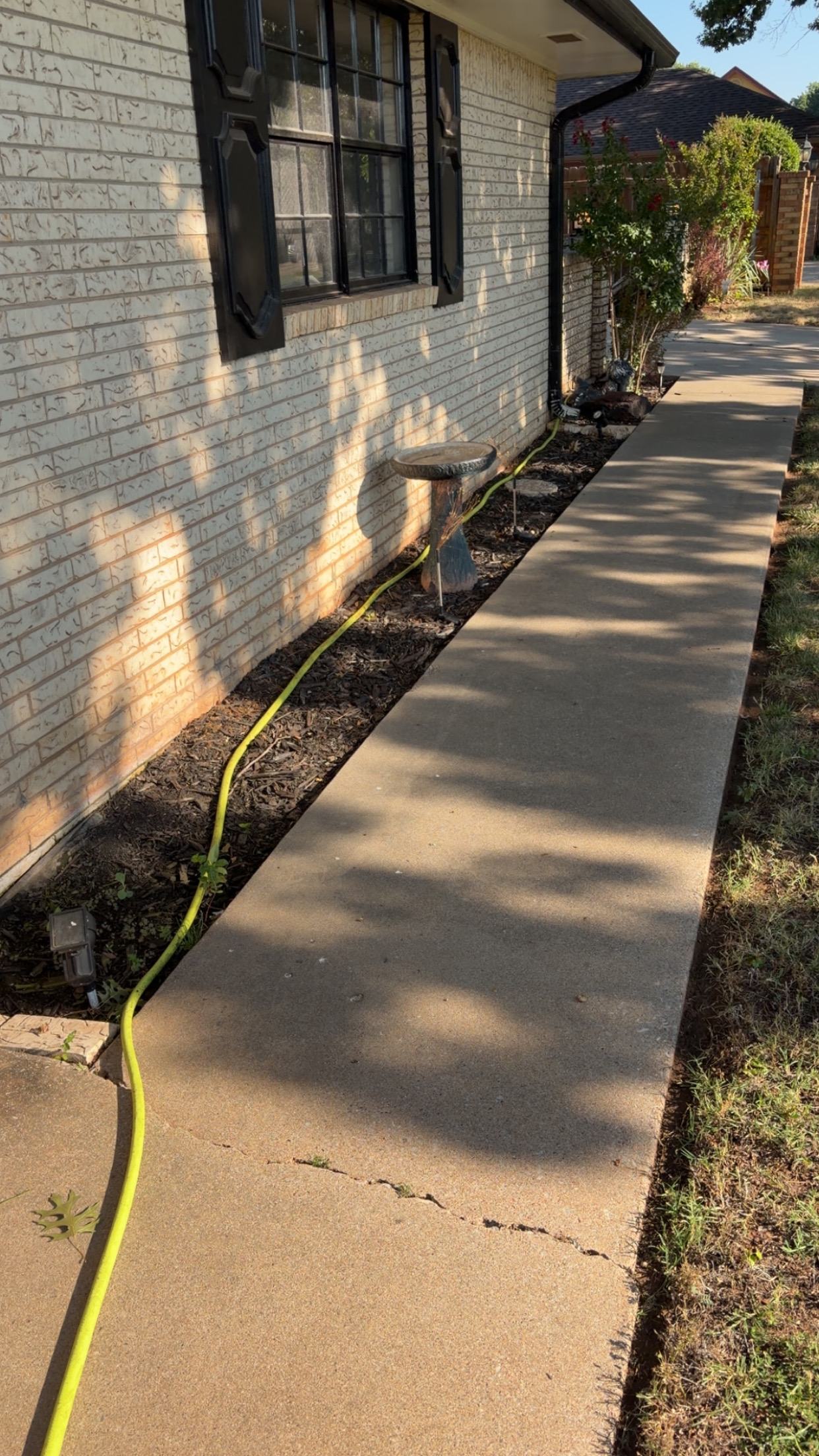 Flower Bed Cleanup Before