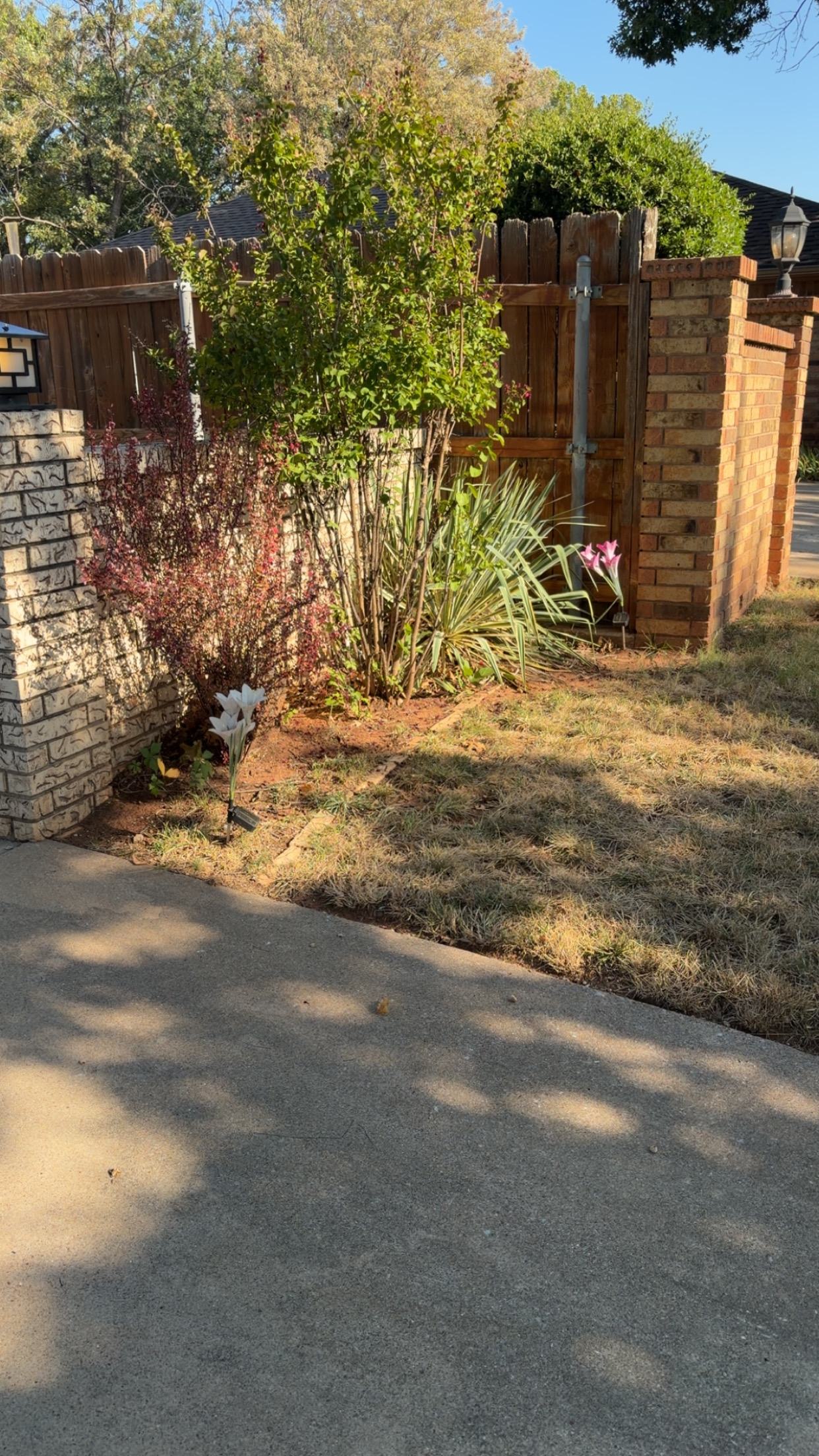 Flower Bed Cleanup Before